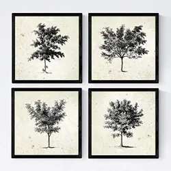 POSTER Set mit 4 Blättern der Bäume mittlerer, Jahrgang Hintergrund 20x20cm Schwarzer Rahmen