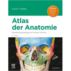 Netter Atlas der Anatomie, Fachbücher von Frank H. Netter, Christian M. Hammer