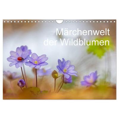 Märchenwelt der Wildblumen (Wandkalender 2027 DIN A4 quer), CALVENDO Monatskalender