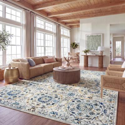 SAFAVIEH Evoke Traci Distressed Vintage Boho Rug