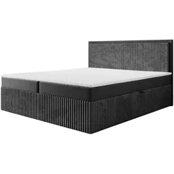 BOXBETT Hidis In Stoff Vito