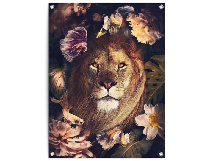 Poster REINDERS Dschungel-Löwe , braun (farbe bild(er): braun), B:60cm H:80cm T:0,1cm, Leinwand, Bilder, Poster, Outdoor für Garten oder Balkon