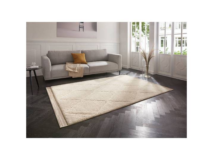 Hochflorteppich Colin 120 x 170cm Beige/Beige