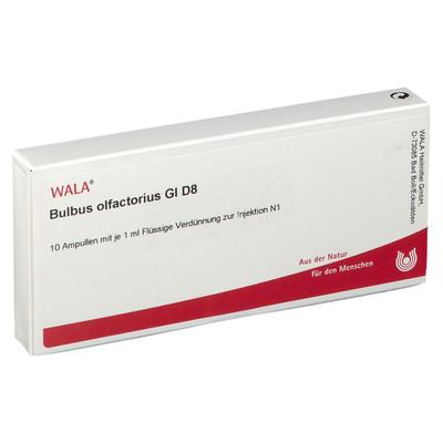 Bulbus Olfactorius GL D 8 Ampullen 10x1 ml