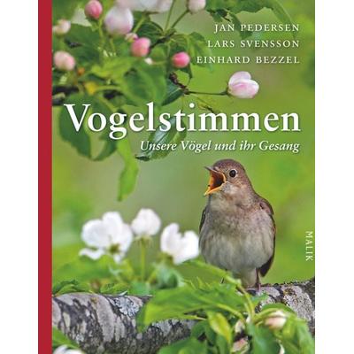 Vogelstimmen, Gebundene Ausgabe von Jan Pedersen,Lars Svensson,Einhard Bezzel, Malik, 978-3-89029-422-3