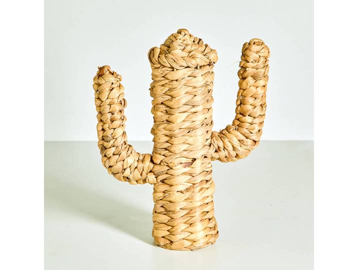 Cactus déco en jonc de mer - Blancheporte