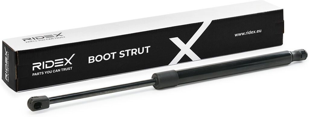 RIDEX 219G0023 Tailgate strut