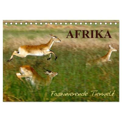 Afrika - Faszinierende Tierwelt (Tischkalender 2026 DIN A5 quer), CALVENDO Monatskalender