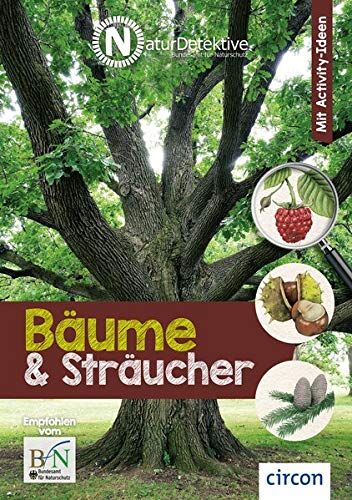 Birgit Kuhn - Bäume und Sträucher (Naturdetektive) - Preis vom 30.09.2026 09:01:18 h
