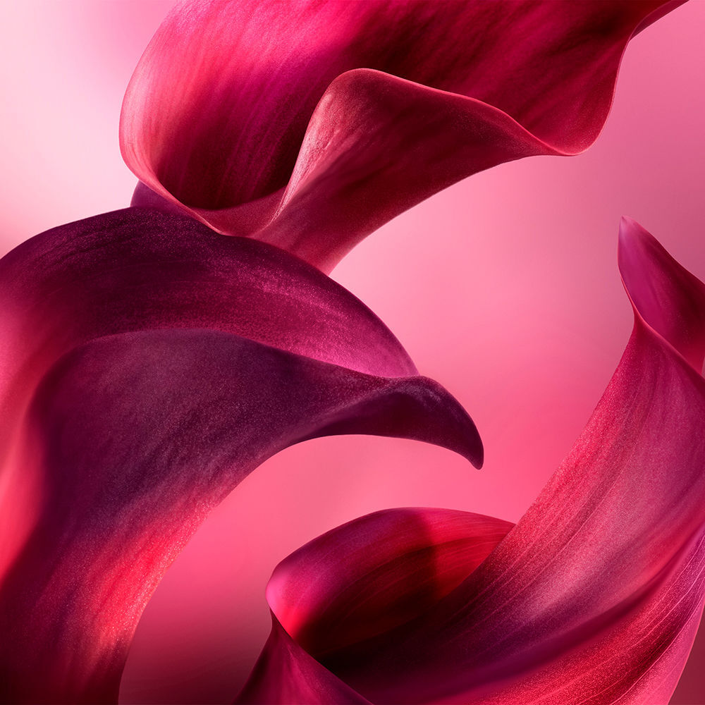 Lancôme La Vie Est Belle L’ELIXIR Très Cerise eau de parfum vaporisateur