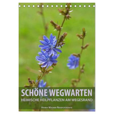 Schöne Wegwarten. Heimische Heilpflanzen am Wegesrand (Tischkalender 2027 DIN A5 hoch), CALVENDO Monatskalender