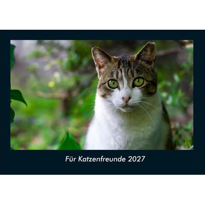Für Katzenfreunde 2027 Fotokalender DIN A4
