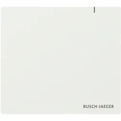 Busch-Jaeger System Access Point 3.0 SAP.13