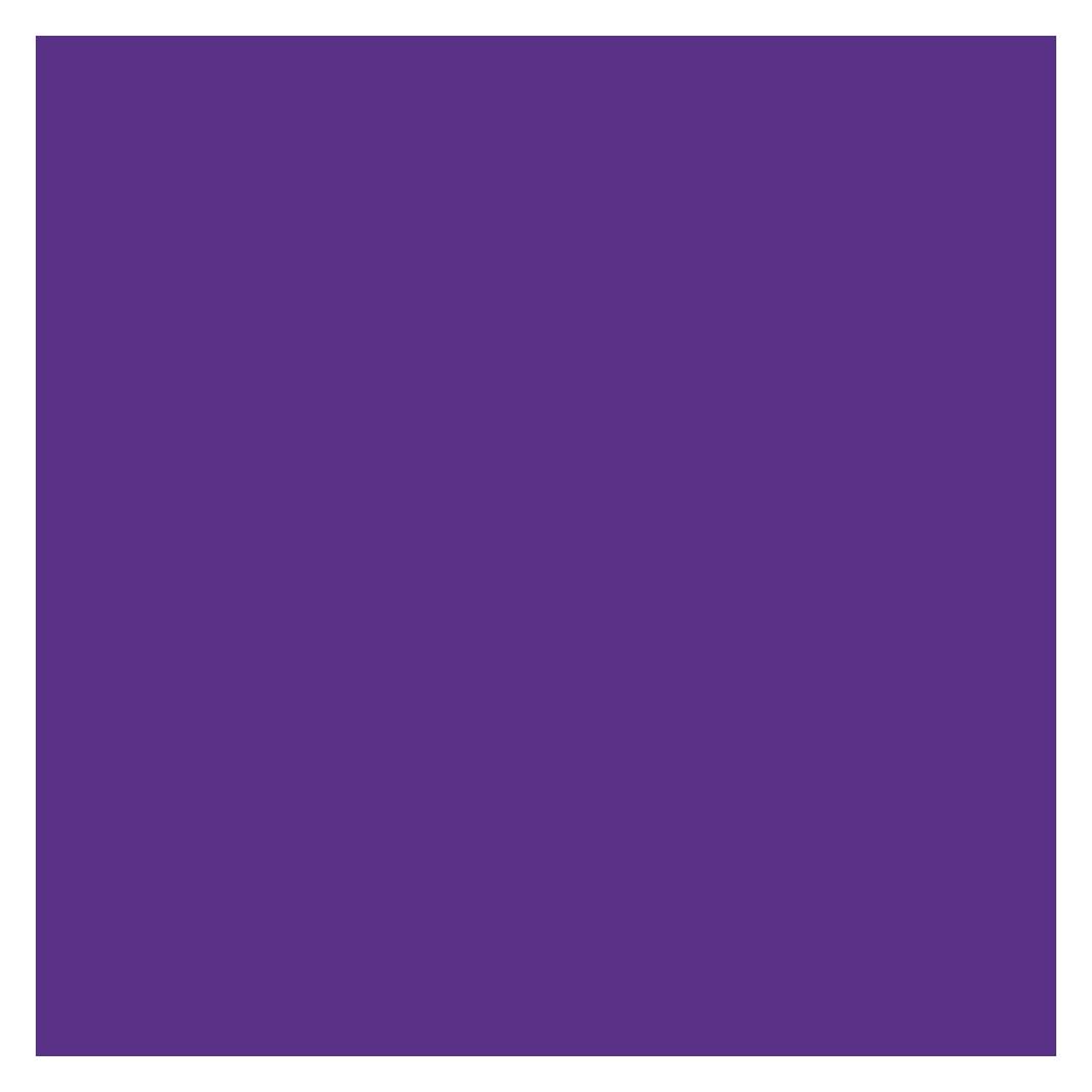 PlottiX Permanente Vinylfolie Rolle - 31,5cm x 1m Violett (PL0502009)
