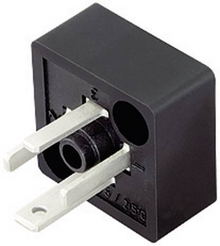 Binder MagnetventilsteckverBauform C Serie 230 Schwarz Pole:3+PE 43-1907-000-04 Inhalt