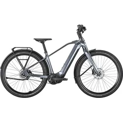 Bulls Sturmvogel EVO 800 Wh Herren grau 2027 - 29" - 43 cm