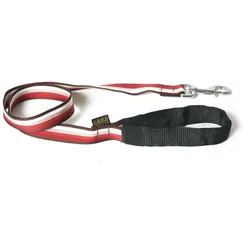 Arka Baya (25, Hund, Spazieren), Halsband + Leine