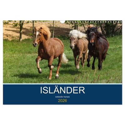 Isländer - icelandic horses (Wandkalender 2026 DIN A3 quer), CALVENDO Monatskalender