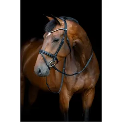 Horse Guard, Zaumzeug