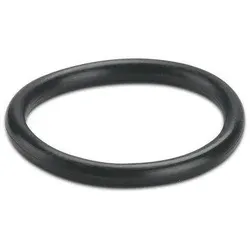 Phoenix Contact 3241190 Dichtring WP-OR M20 WPORM20  - 50 Stück
