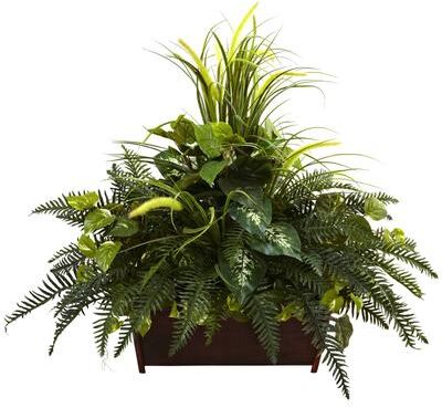 Nearly Natural Mixed Grass and River Fern in a Wood Planter