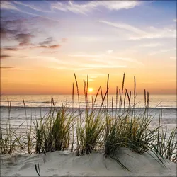 Glasbild LONELY DUNE (BHT 20x20x1,30 cm) - bunt - BHT 20x20x1,30 cm
