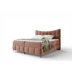 BOXBETT Charles In Freya