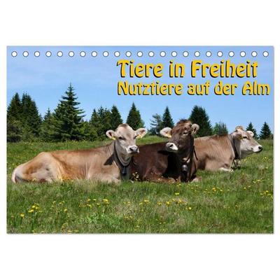 Tiere in Freiheit - Nutztiere auf der Alm (Tischkalender 2027 DIN A5 quer), CALVENDO Monatskalender