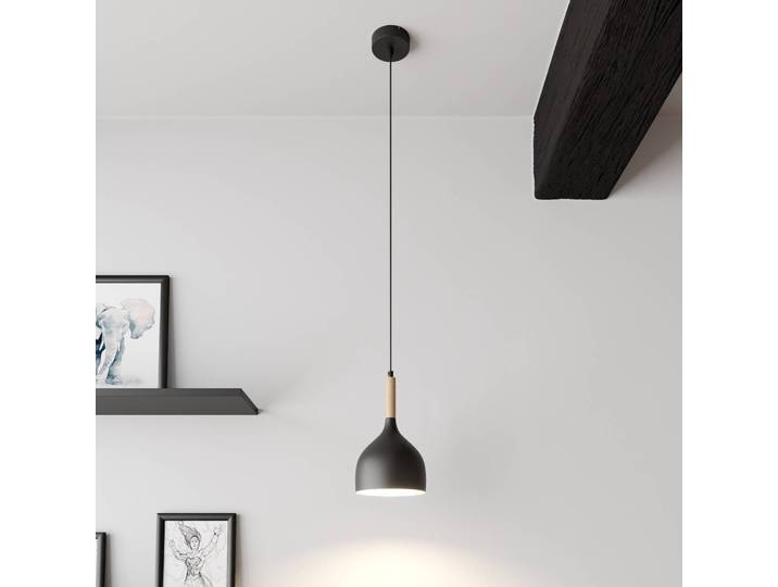 Hängelampe Noak Luminex, dimmbar, schwarz, für Wohn- / Esszimmer, Metall, Modern, Pendelleuchte