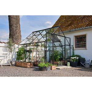 Halls Gewächshaus Qube+ 88, 6,6 m² Fläche, 261 x 261 x 246 cm, Glas
