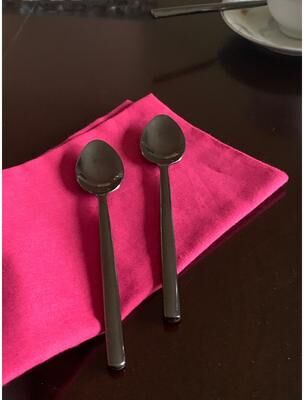 Vibhsa Black Stainless Steel Dessert Spoon Set, 6-Piece Service for 6