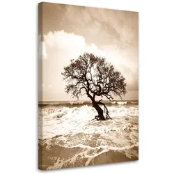 LEINWANDBILD Natur und Botanik 40x60cm