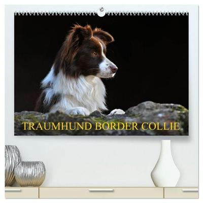 Traumhund Border Collie (hochwertiger Premium Wandkalender 2027 DIN A2 quer), Kunstdruck in Hochglanz