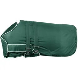 Outdoordecke Fohlen 100g Fohlendecke Tannengrün