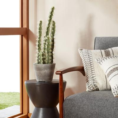 Nearly Natural Decorative Cactus Garden with Cement Planter