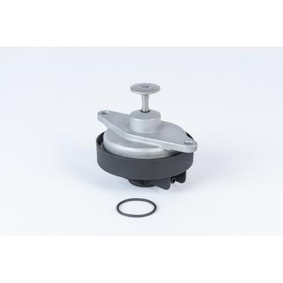 BORGWARNER AGR-Ventil 710920R für GM
