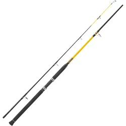 WFT Never Crack Senso Pilk LTC 2,40m 50-160g Pilkrute