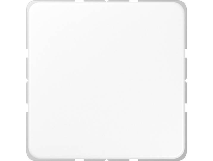 JUNG CD 594-0 WW - Weiß - Thermoplast