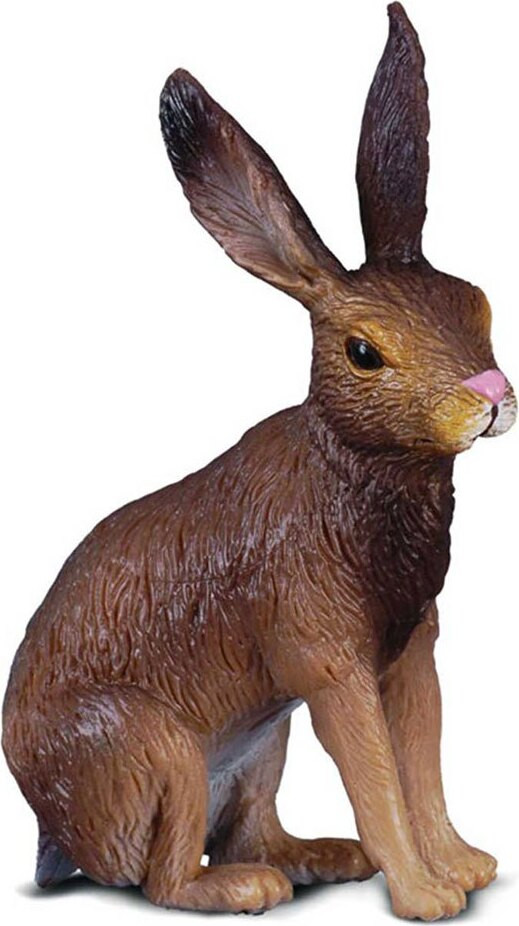 Collecta Weidehaas