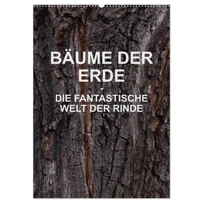 BÄUME DER ERDE - DIE FANTASTISCHE WELT DER RINDE (Wandkalender 2027 DIN A2 hoch), CALVENDO Monatskalender