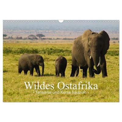 Wildes Ostafrika - Tansania und Kenia hautnah (Wandkalender 2026 DIN A3 quer), CALVENDO Monatskalender