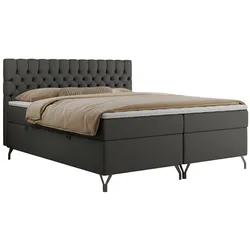 BOXBETT GRIMALDI 180/200 Dunkelgrau Kunstleder - H4