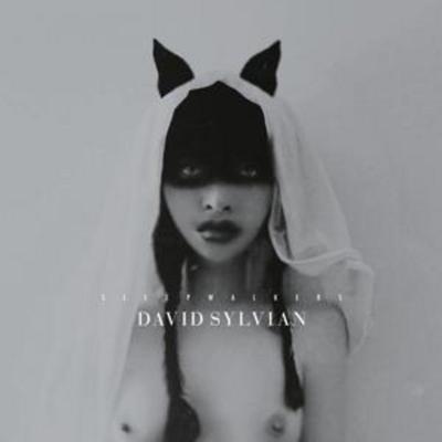 Sleepwalkers (Remastered CD) - David Sylvian, CD