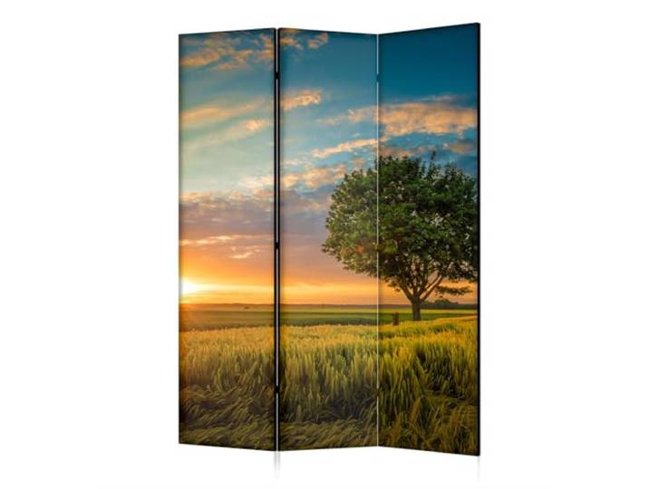 framed concept - Paravent Raumteiler Holz 135x172 cm, 3-teilig einseitig, Sichtschutzwand