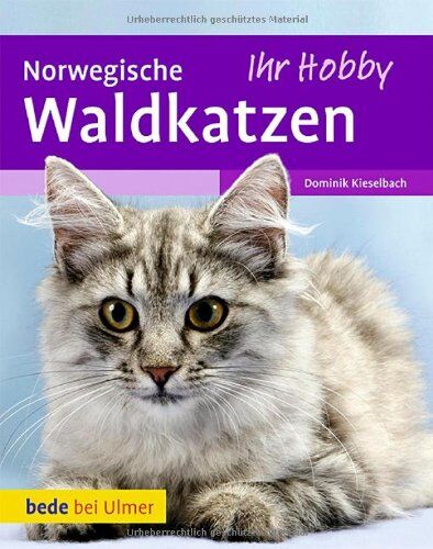 Dominik Kieselbach - Norwegische Waldkatzen - Preis vom 09.10.2026 07:28:09 h