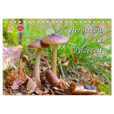 Herbstzeit ist Pilzezeit (Tischkalender 2027 DIN A5 quer), CALVENDO Monatskalender