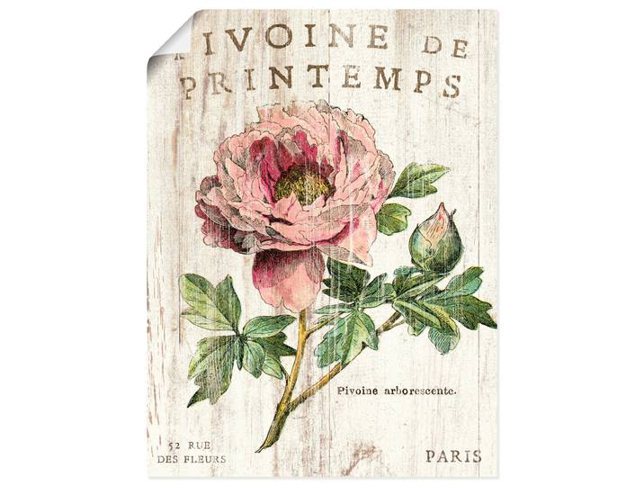 Poster ARTLAND Pfingstrose , pink (farbe bild(er): pink), B:30cm H:40cm, Bilder, Poster, ohne Rahmen