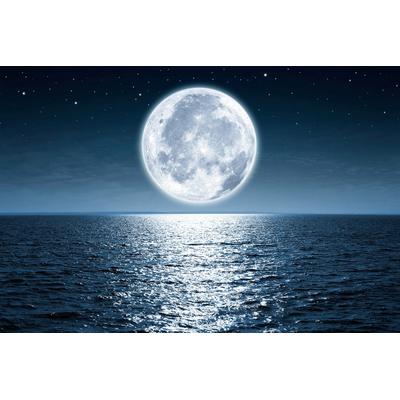 Fototapete PAPERMOON "Vollmond", bunt, B:2,5m L:1,86m, Vlies, Tapeten