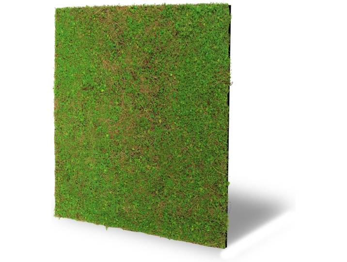 Wandpaneel ARCHITECTS PAPER A.S. Création Modular Wall Wandpaneel Pflanzenoptik Natur , grün (olivgrün, grün, braun), B/L: 52cm x 52cm, Kunststoff, Textil, Paneele, Wandpaneel, Natur- und Kunstfasern auf rPET-Filz für botanische 3D-Wände
