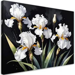 LEINWANDBILDER, Weiße Irisblüten auf schwarzem Hintergrund